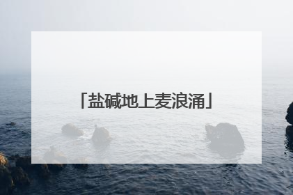 盐碱地上麦浪涌